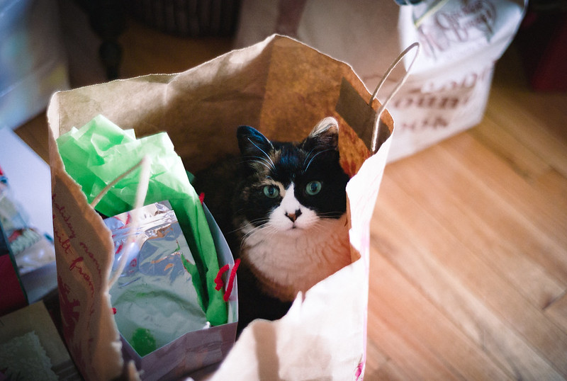 gifts for cat lovers
